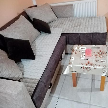 Milica Apartmani Vrdnik Exteriér fotografie