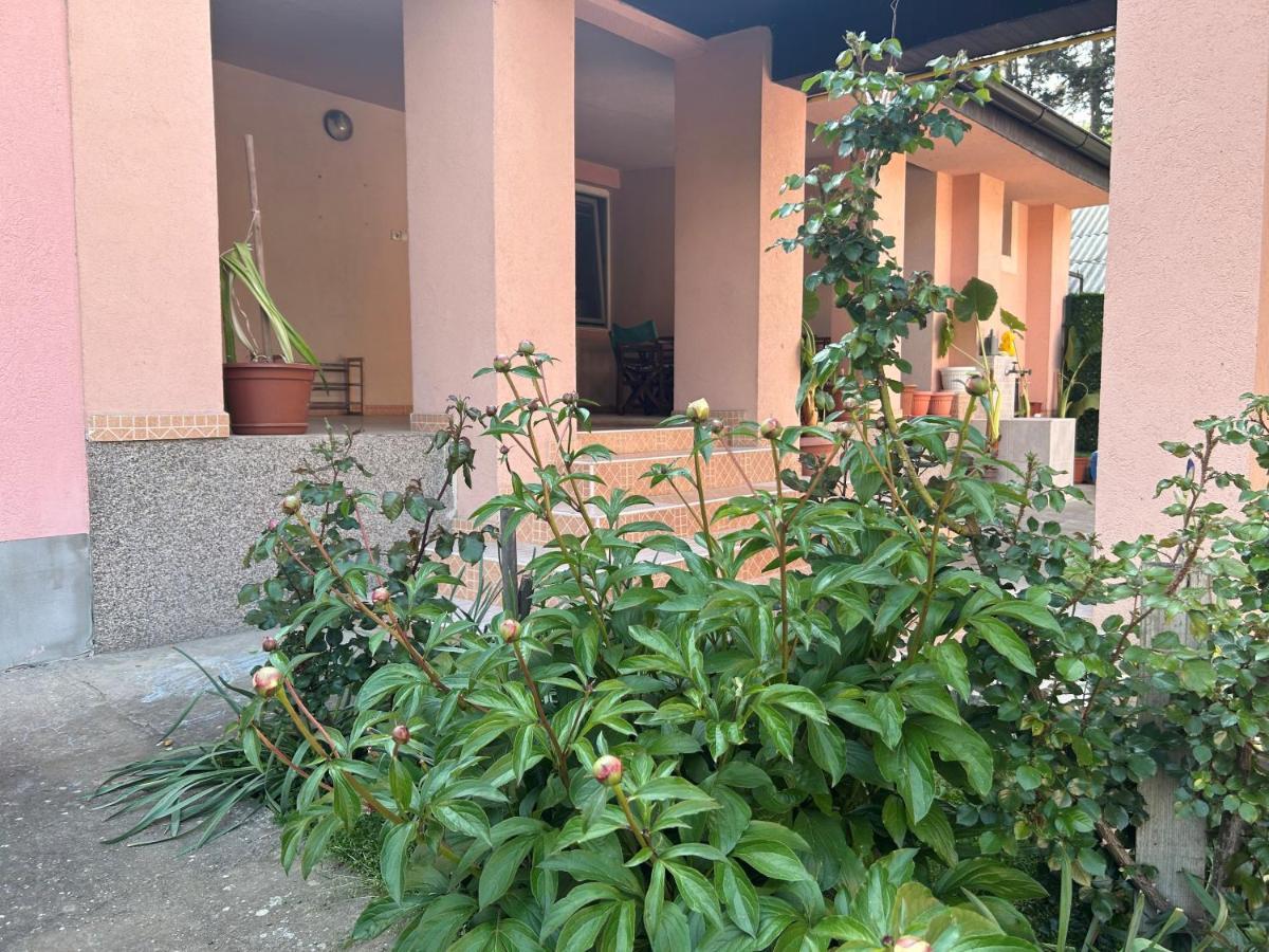 Milica Apartmani Vrdnik Exteriér fotografie