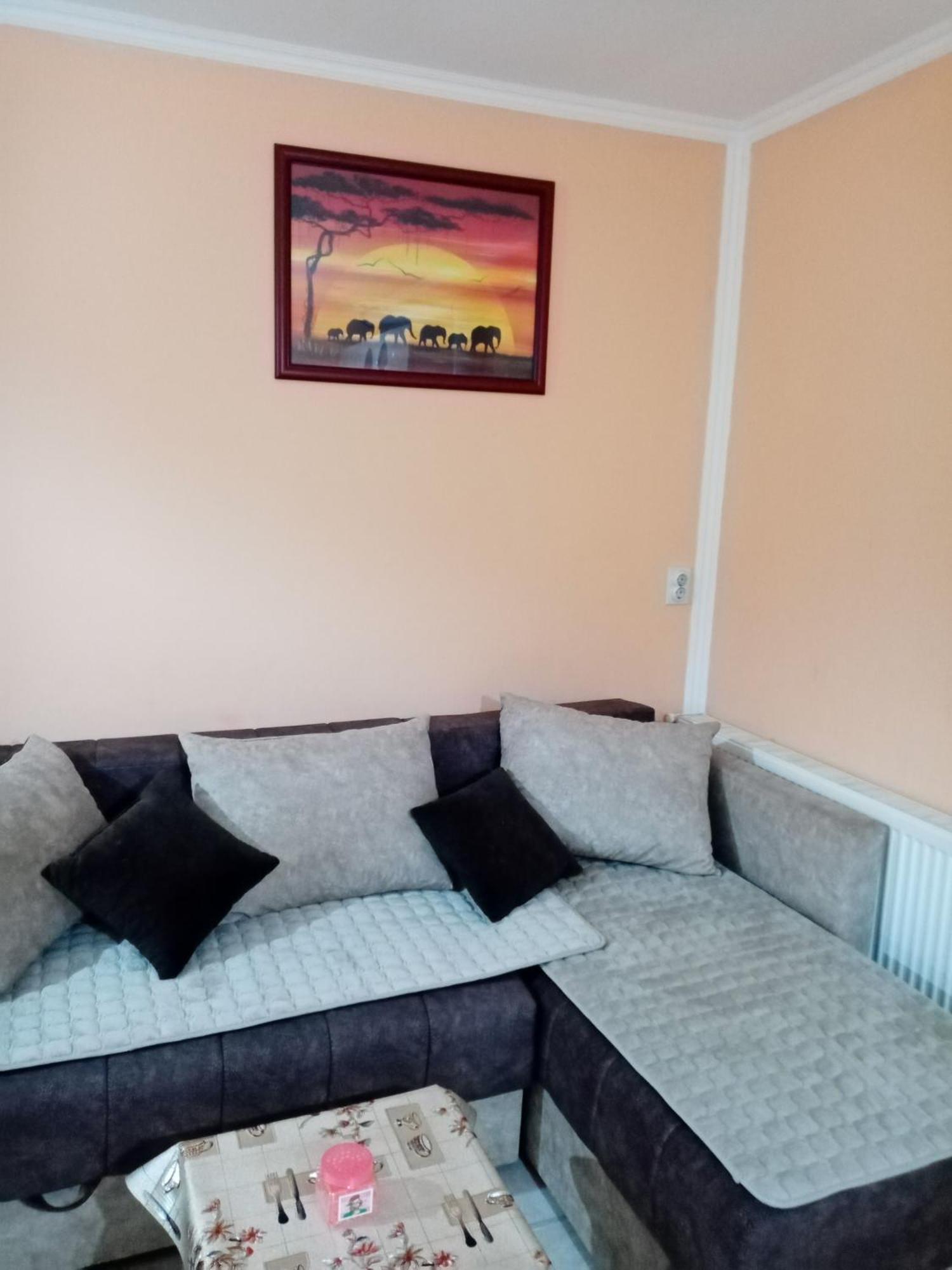 Milica Apartmani Vrdnik Exteriér fotografie