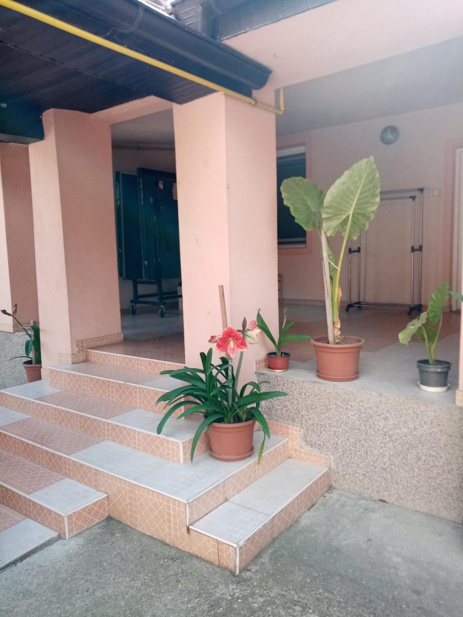Milica Apartmani Vrdnik Exteriér fotografie
