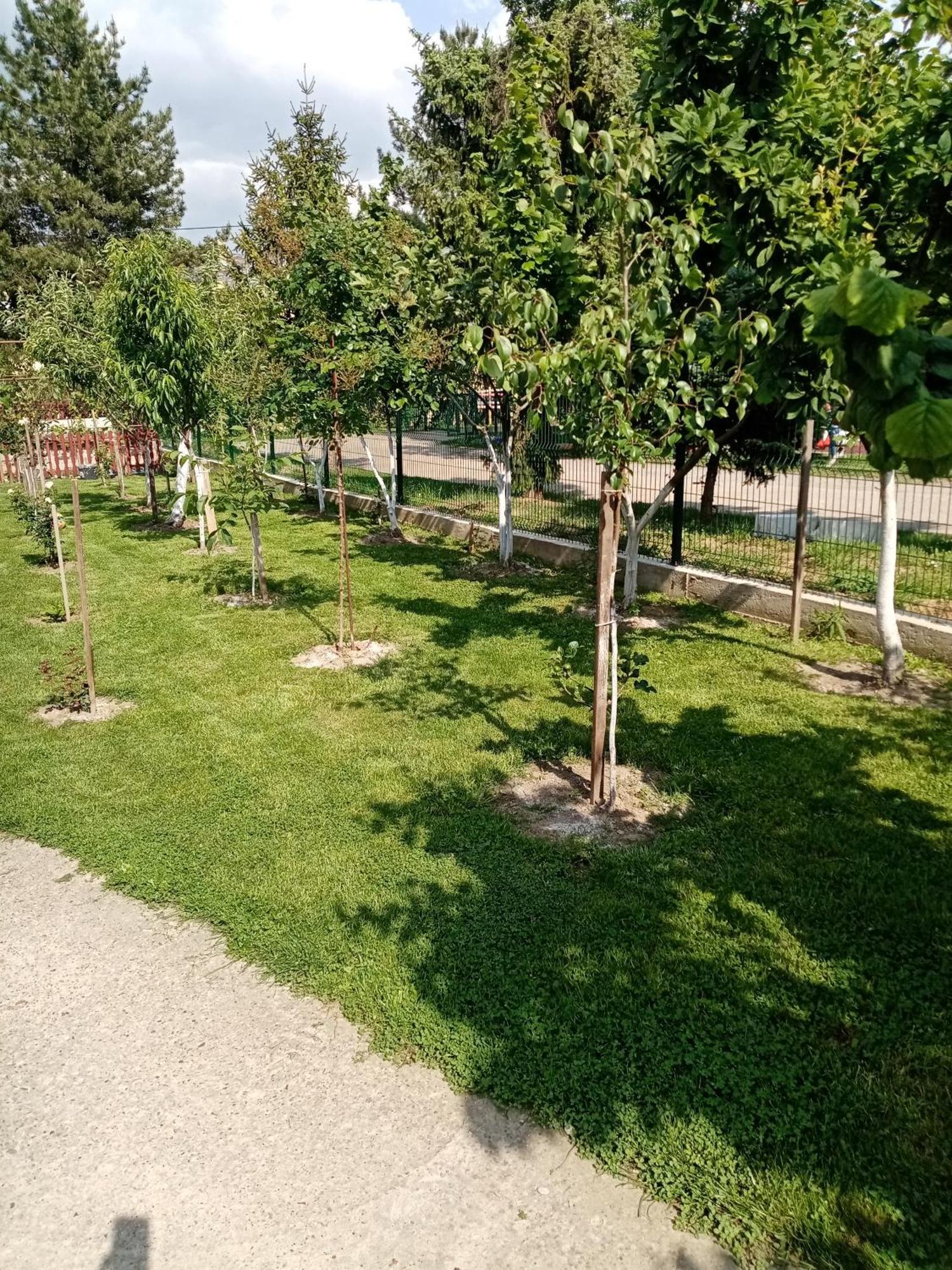 Milica Apartmani Vrdnik Exteriér fotografie