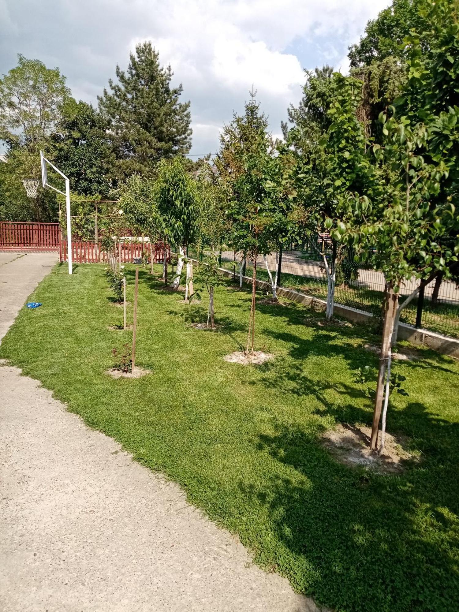 Milica Apartmani Vrdnik Exteriér fotografie