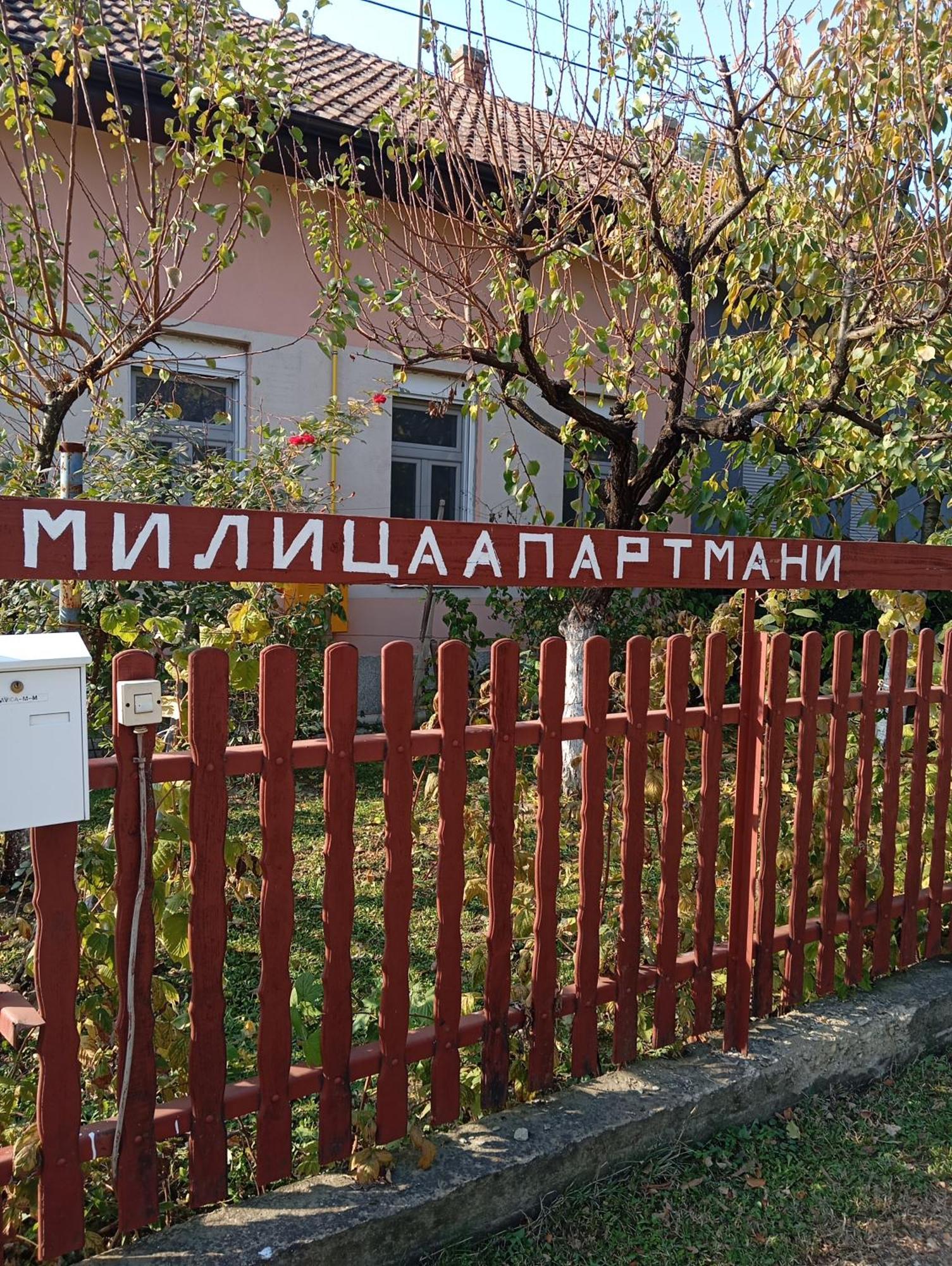Milica Apartmani Vrdnik Exteriér fotografie