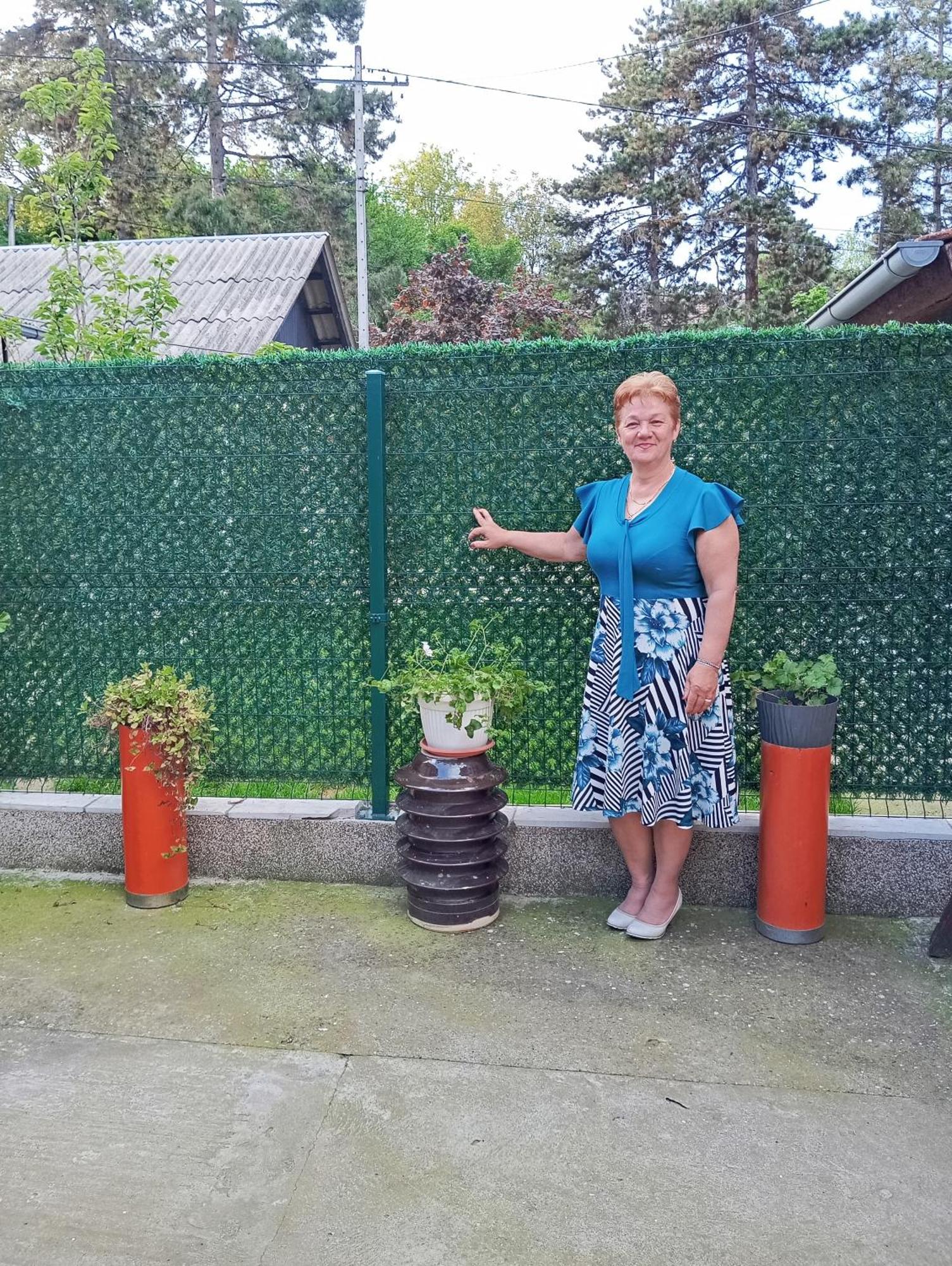 Milica Apartmani Vrdnik Exteriér fotografie