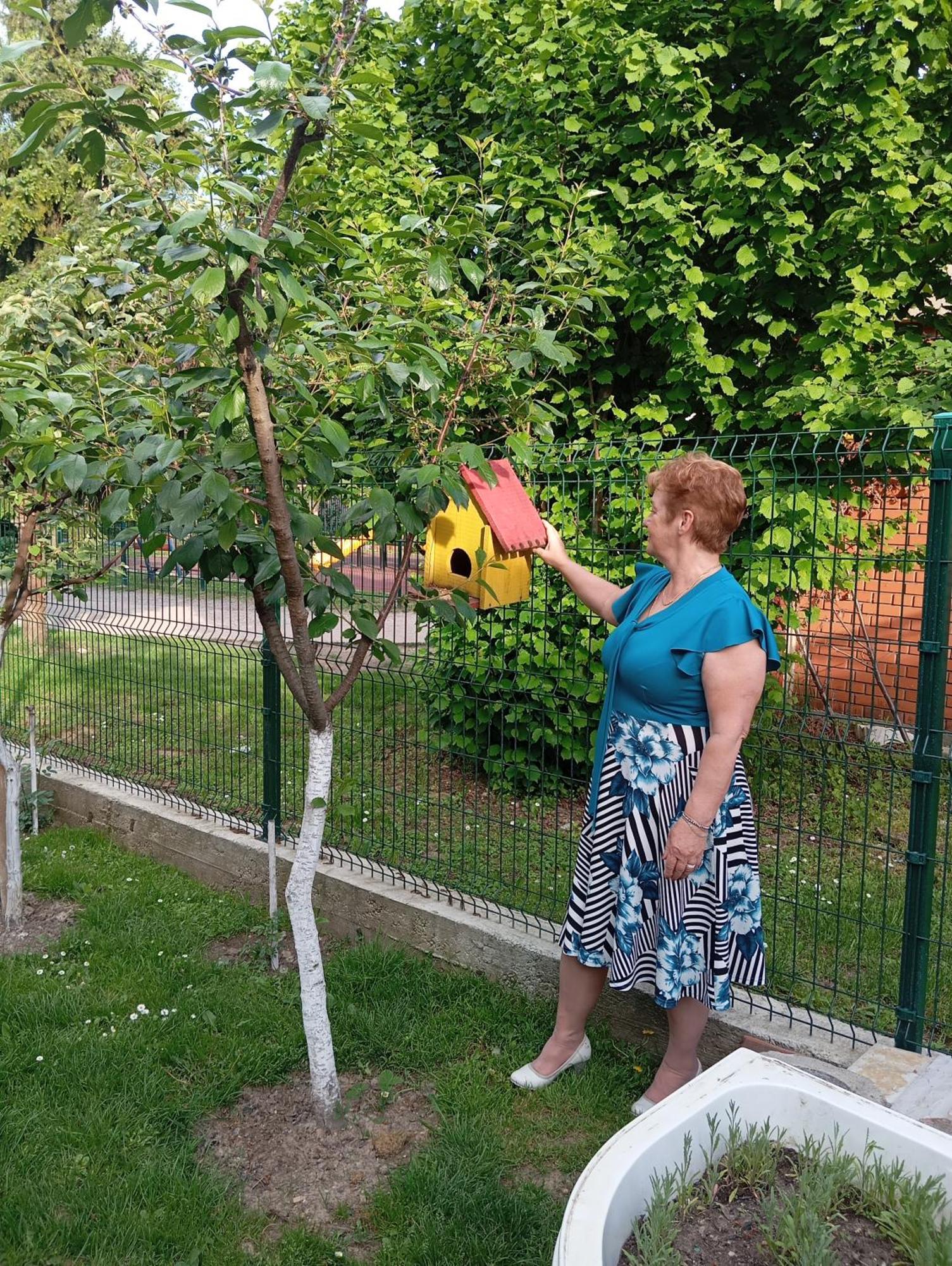 Milica Apartmani Vrdnik Exteriér fotografie