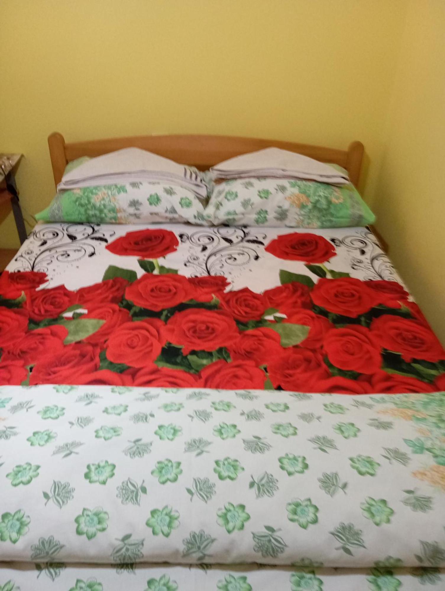 Milica Apartmani Vrdnik Exteriér fotografie