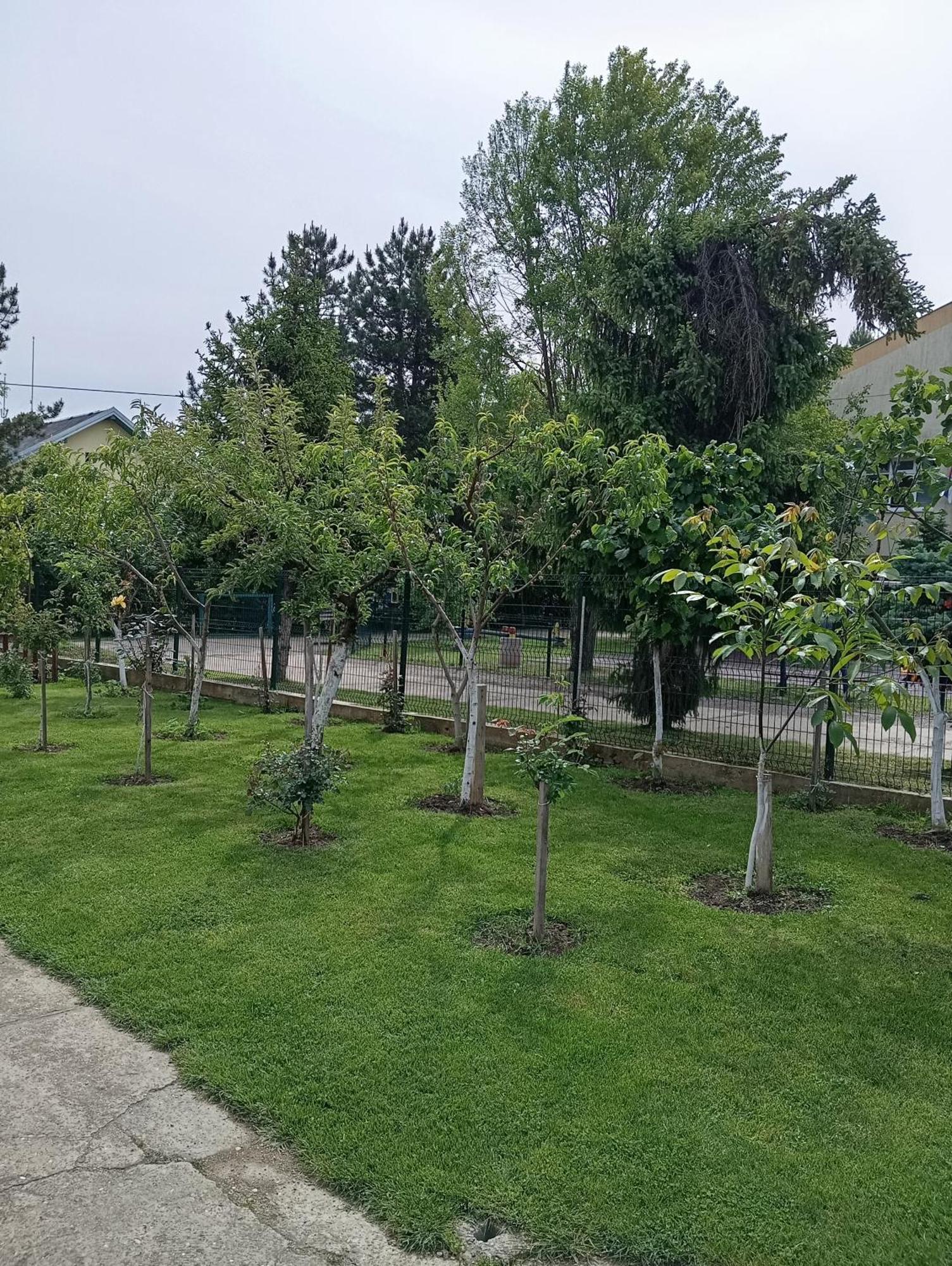 Milica Apartmani Vrdnik Exteriér fotografie